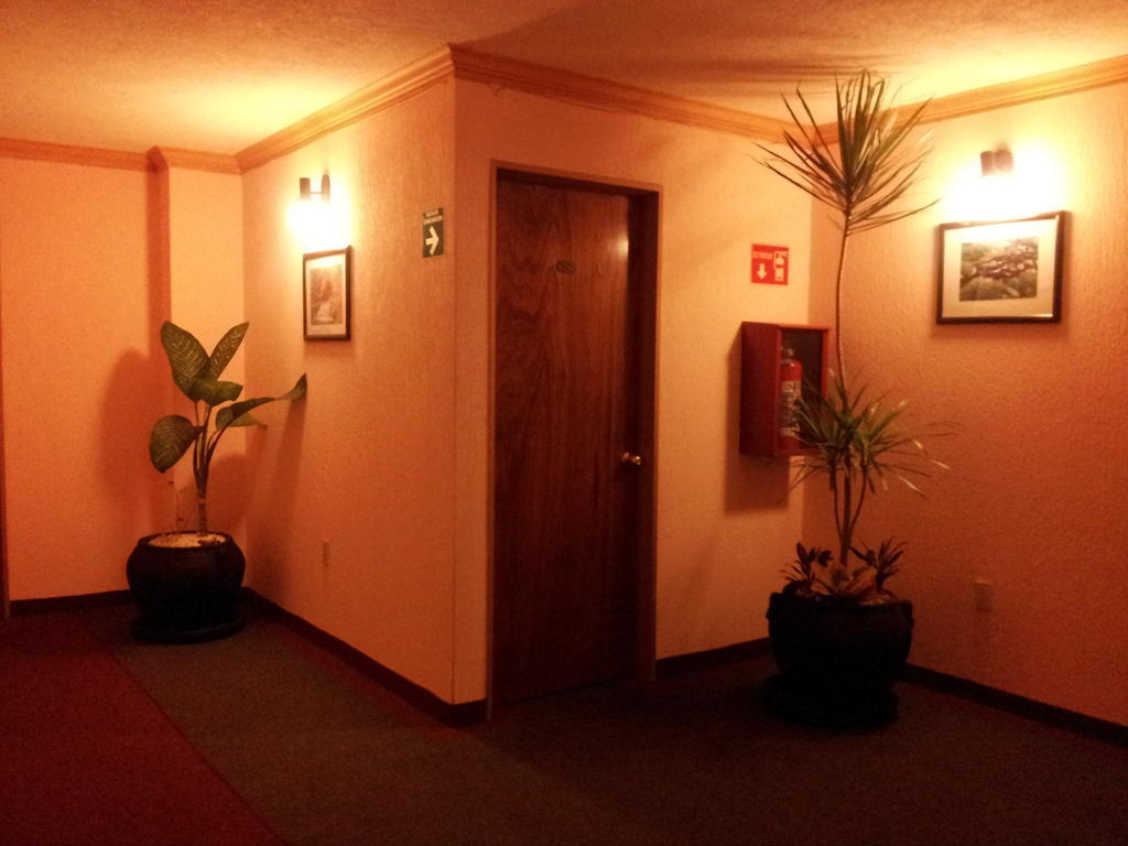Hotel Siesta Del Sur Мехико Экстерьер фото